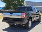 2013 Ford F-150 Platinum