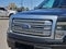 2013 Ford F-150 Platinum